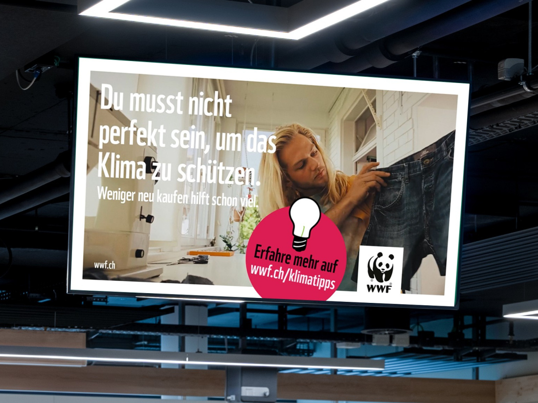 WWF Case 