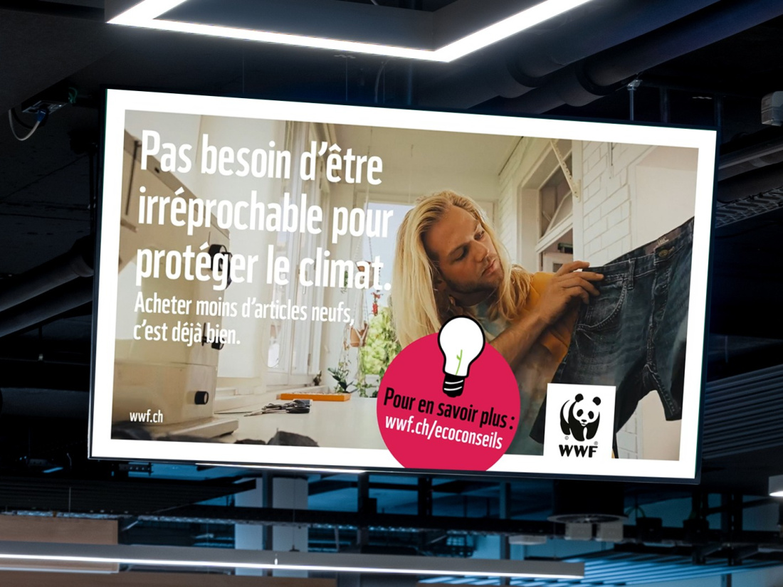 WWF Case gross
