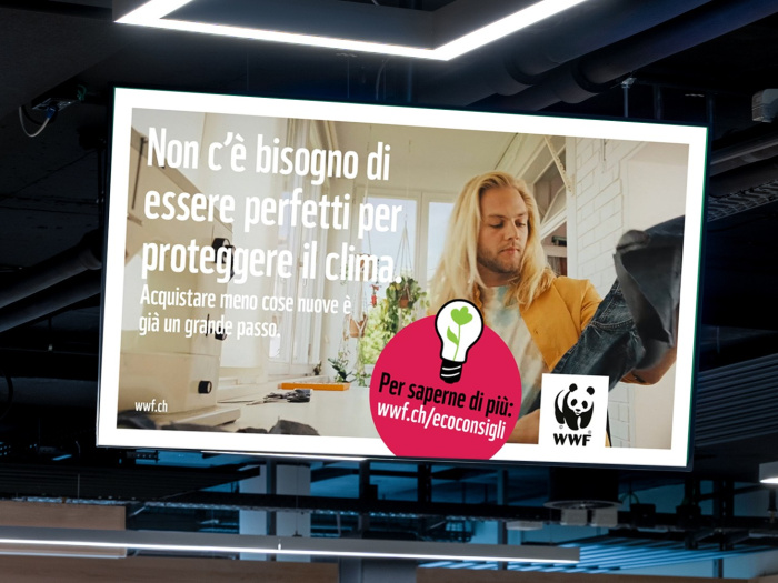 WWF Case